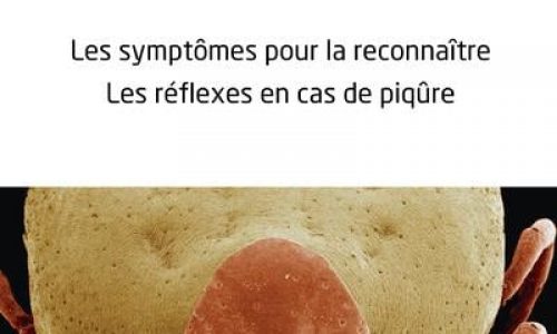 « Maladie de Lyme, Les symptômes pour la reconnaître, Les réflexes en cas de piqûre »