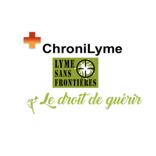 Les associations Lyme Sans Frontières, Le Droit de Guerir et ChroniLyme appuyées et soutenues par Ensemble Contre Lyme et LymeTeam, sont reçues ce mercredi 5 février 2020 par le Groupe d’Etudes Lyme de l’Assemblée nationale.