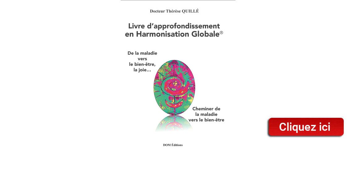 « Livre d’approfondissement en Harmonisation Globale »