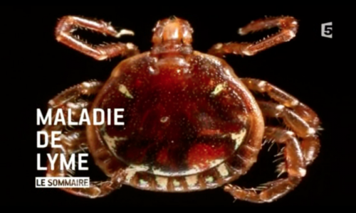 La maladie de Lyme | France 5 | 18 septembre 2012