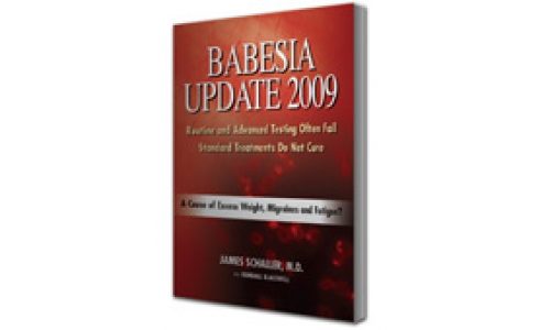 BABESIA UPDATE 2009